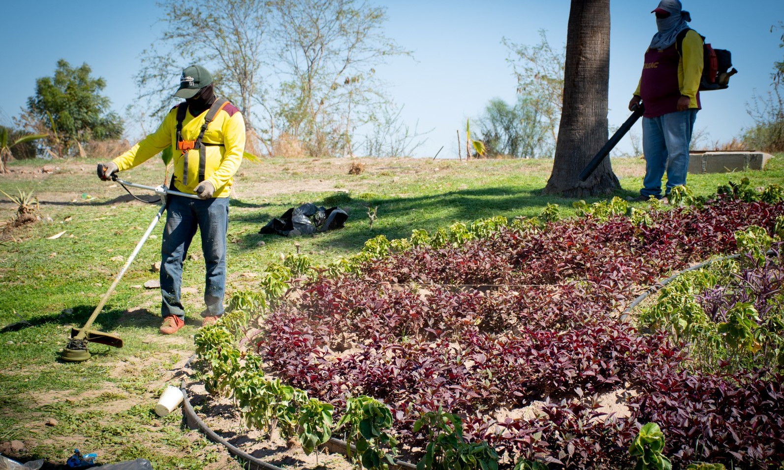 WhatsApp Image 2023-05-11 at 4.45.25 PM