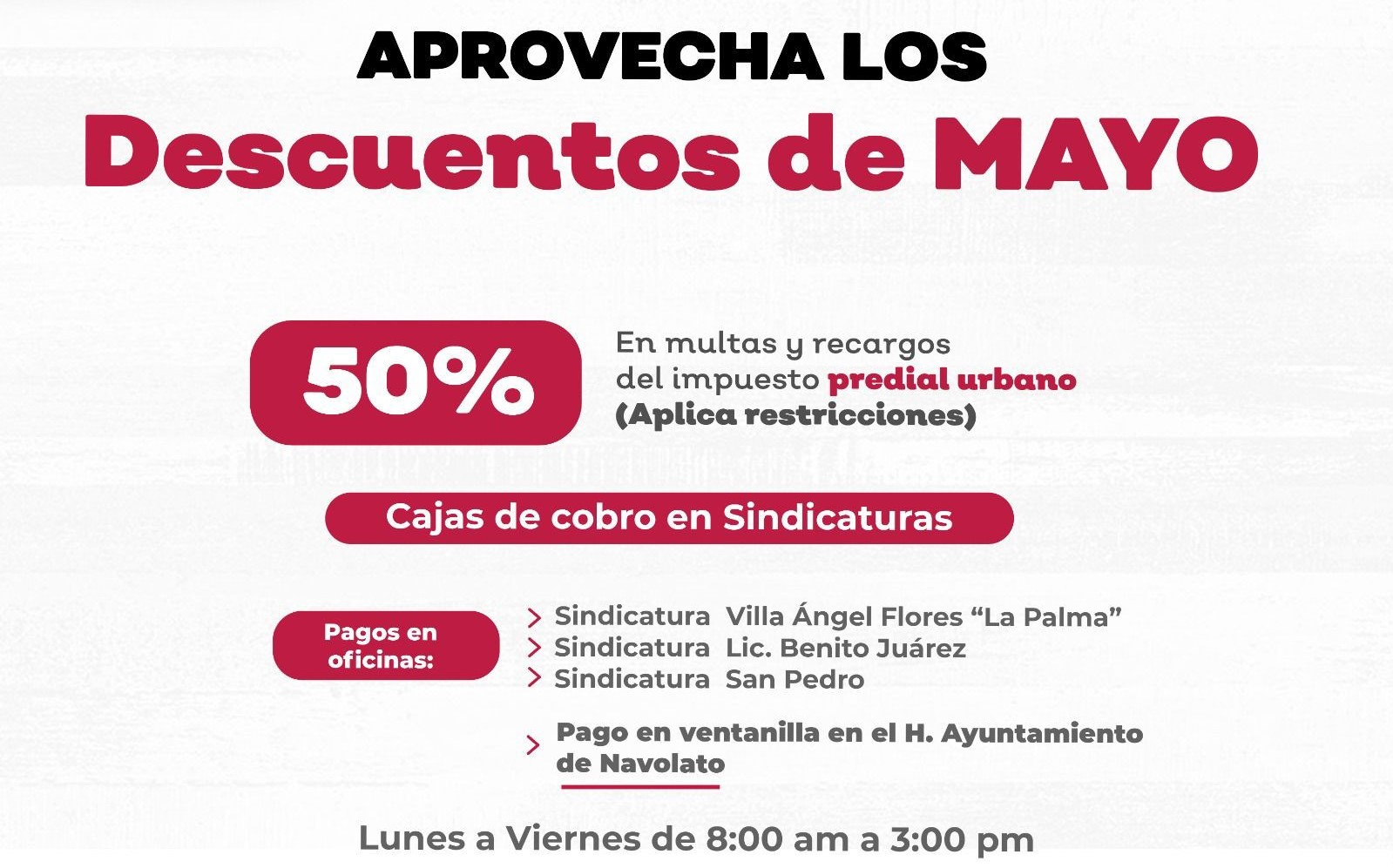 WhatsApp Image 2023-05-13 at 2.11.07 PM