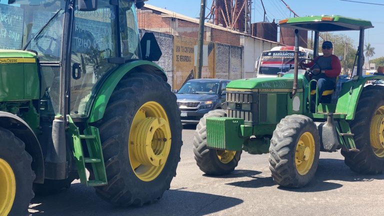 WhatsApp Image 2023-05-15 at 4.10.10 PM (1)