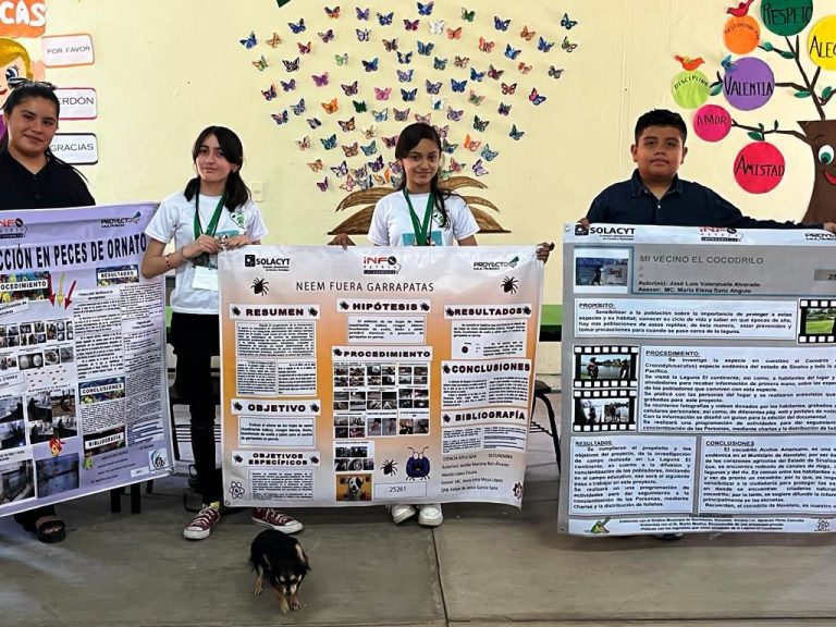 WhatsApp Image 2023-05-15 at 5.48.48 PM