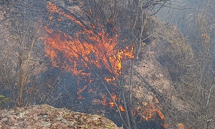 WhatsApp Image 2023-05-17 at 1.01.08 PM