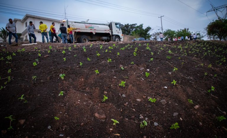 WhatsApp Image 2023-05-17 at 10.41.25 PM