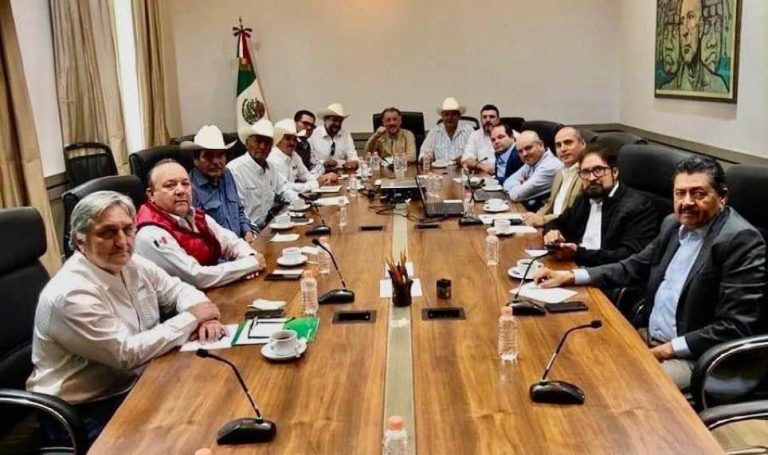 WhatsApp Image 2023-05-19 at 3.55.35 PM