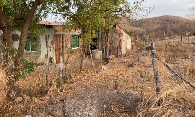 WhatsApp Image 2023-05-19 at 7.08.08 AM