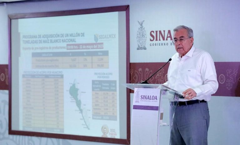 WhatsApp Image 2023-05-22 at 12.50.02 PM (1)