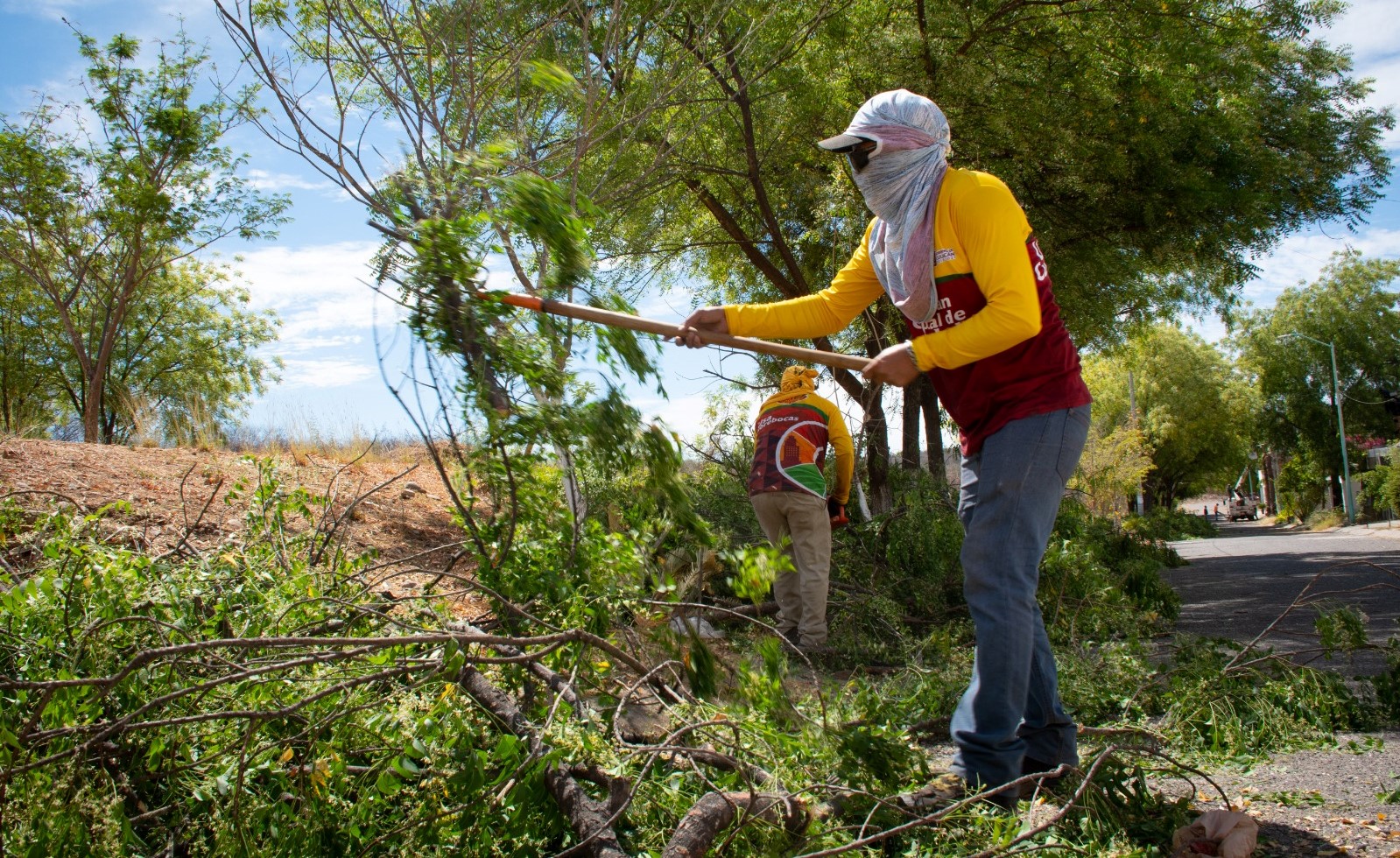 WhatsApp Image 2023-05-25 at 3.26.28 PM