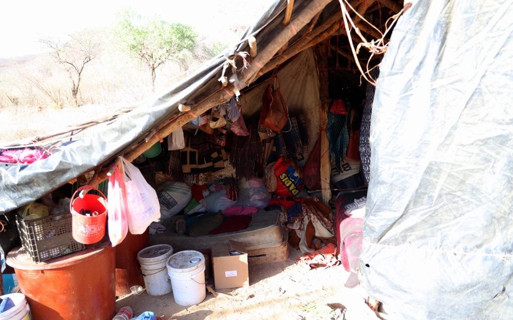 WhatsApp Image 2023-05-31 at 5.30.04 PM