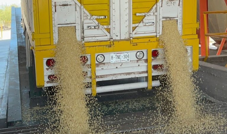 WhatsApp Image 2023-06-02 at 12.00.53 PM