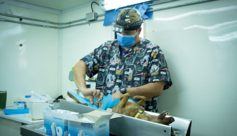 WhatsApp Image 2023-06-12 at 4.01.08 PM