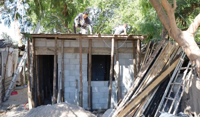 WhatsApp Image 2023-06-13 at 1.19.35 PM