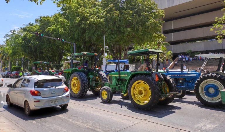 WhatsApp Image 2023-06-13 at 11.44.33 AM