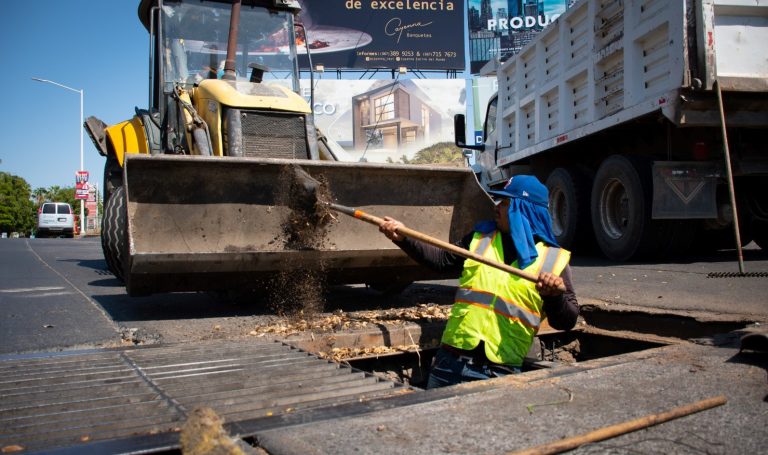 WhatsApp Image 2023-06-13 at 3.00.10 PM