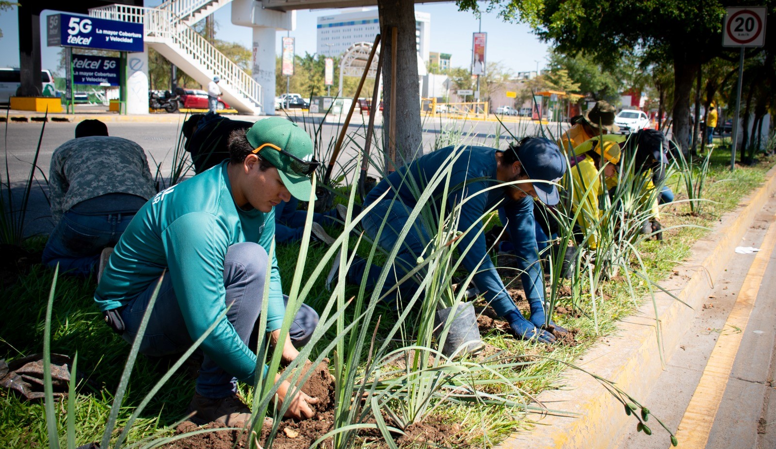 WhatsApp Image 2023-06-13 at 3.18.33 PM