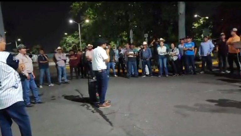 WhatsApp Image 2023-06-15 at 8.20.02 AM