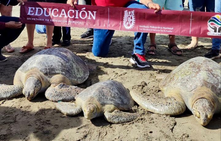 WhatsApp Image 2023-06-16 at 3.28.05 PM