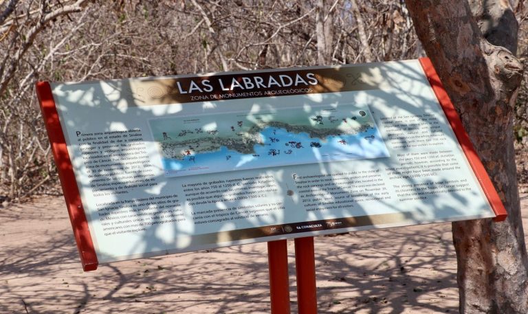 WhatsApp Image 2023-06-21 at 4.42.23 PM