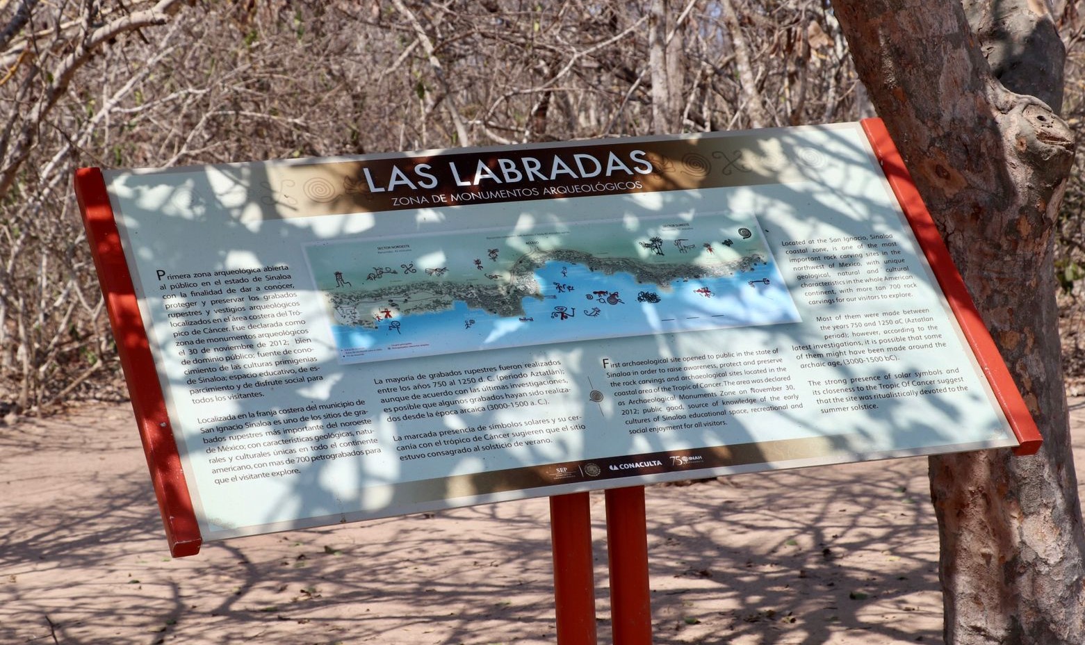 WhatsApp Image 2023-06-21 at 4.42.23 PM