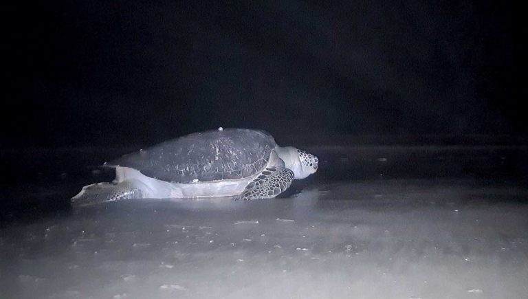 WhatsApp Image 2023-06-22 at 7.07.14 AM