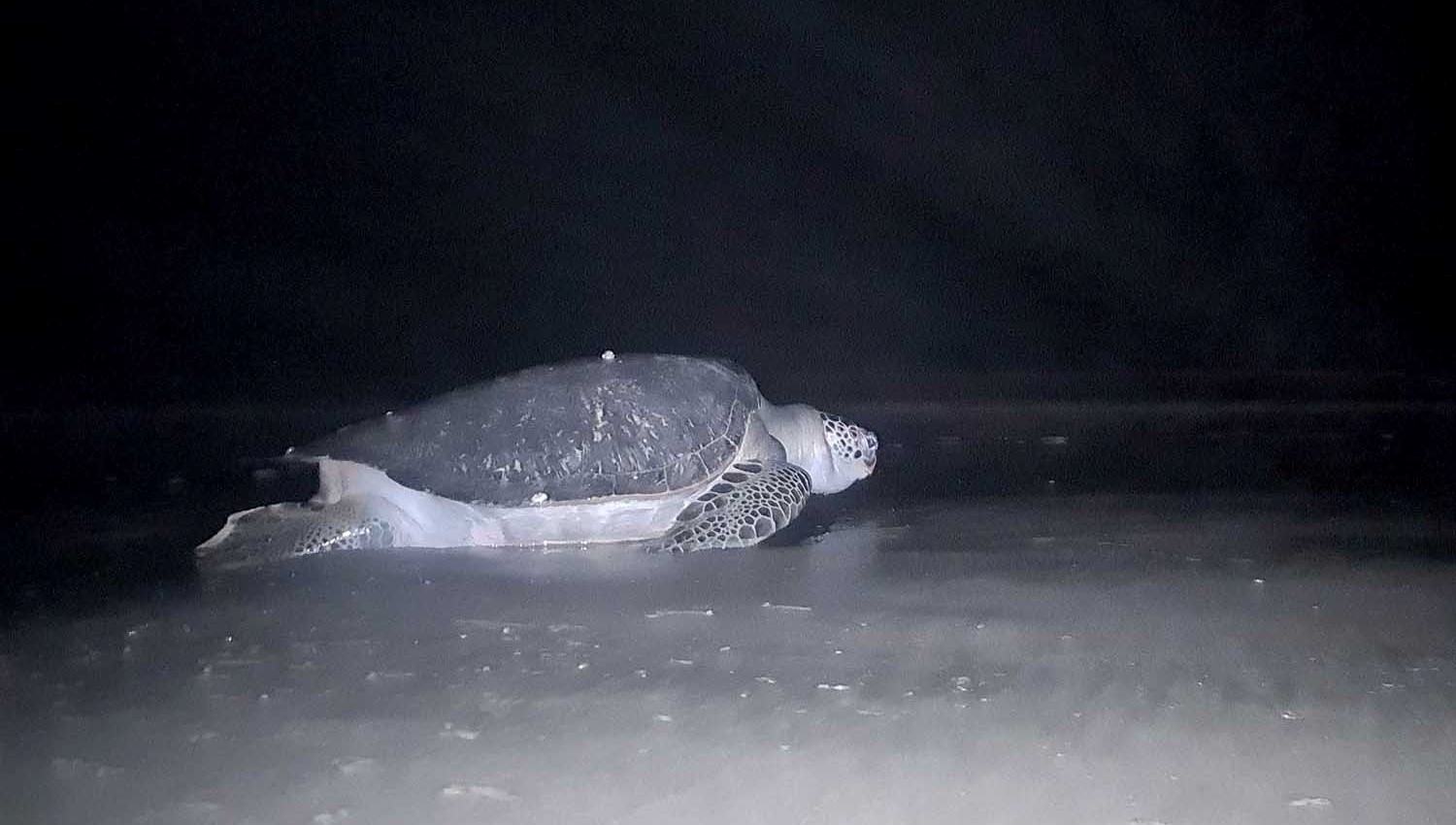 WhatsApp Image 2023-06-22 at 7.07.14 AM