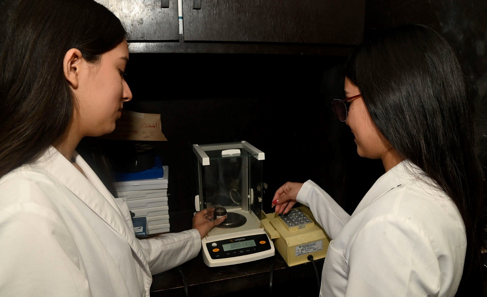 WhatsApp Image 2023-06-27 at 7.50.09 AM