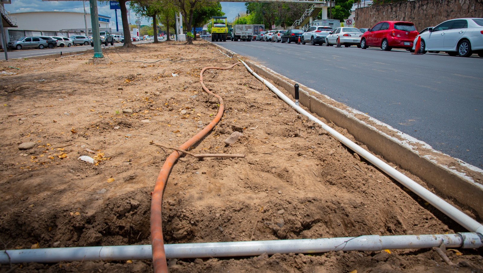 WhatsApp Image 2023-07-04 at 6.15.10 PM