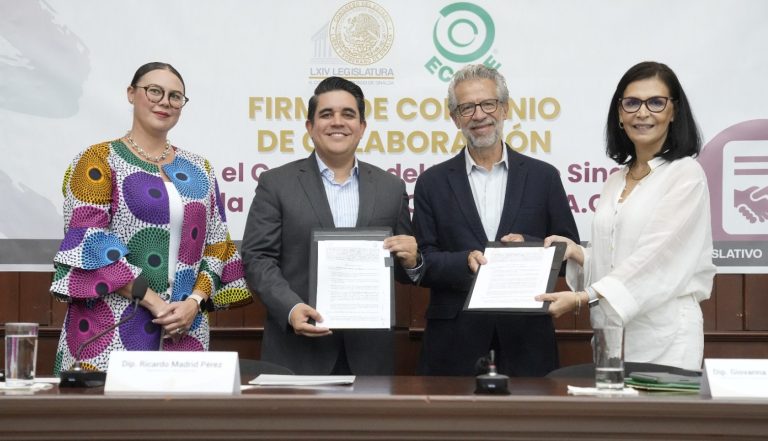 WhatsApp Image 2023-07-11 at 11.57.35 AM