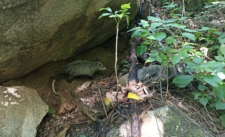 WhatsApp Image 2023-07-11 at 4.47.03 PM