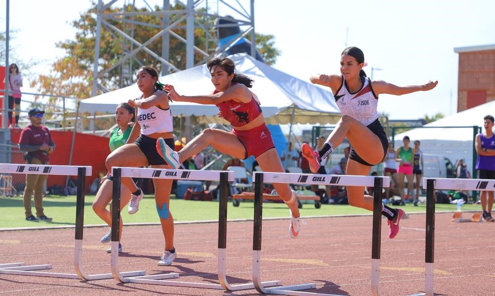 WhatsApp Image 2023-07-12 at 12.24.34 PM