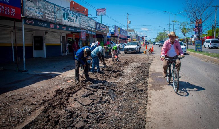 WhatsApp Image 2023-07-12 at 2.02.39 PM