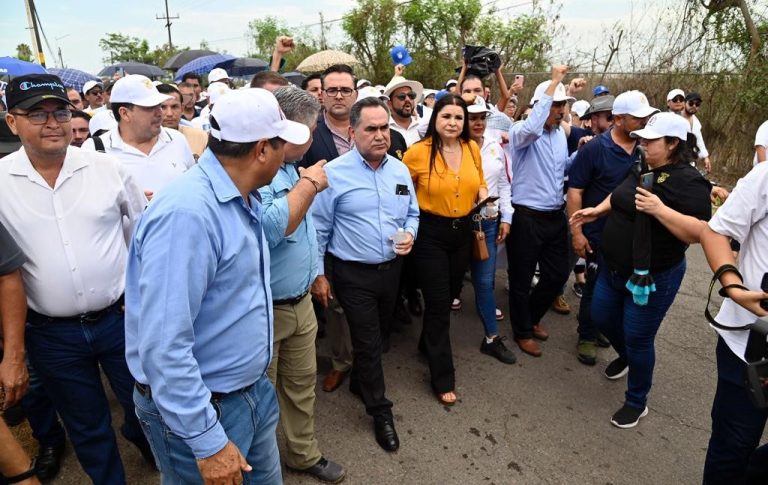 WhatsApp Image 2023-07-15 at 9.23.15 AM