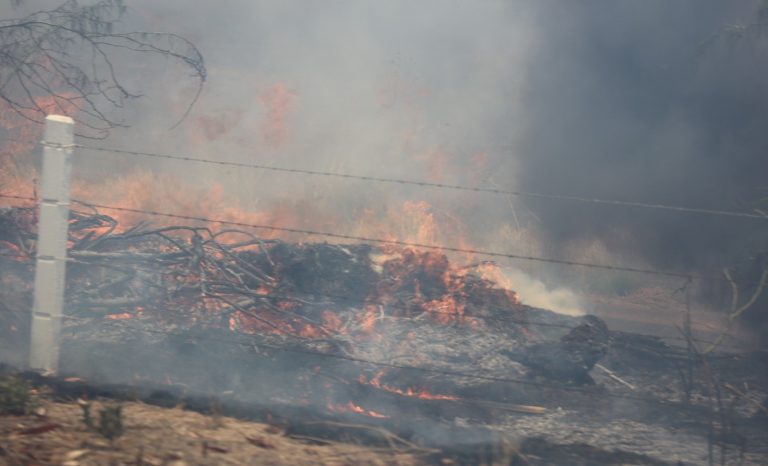 WhatsApp Image 2023-07-20 at 2.26.01 PM