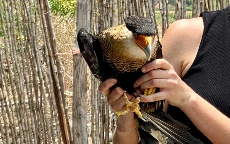 WhatsApp Image 2023-07-24 at 7.25.45 PM