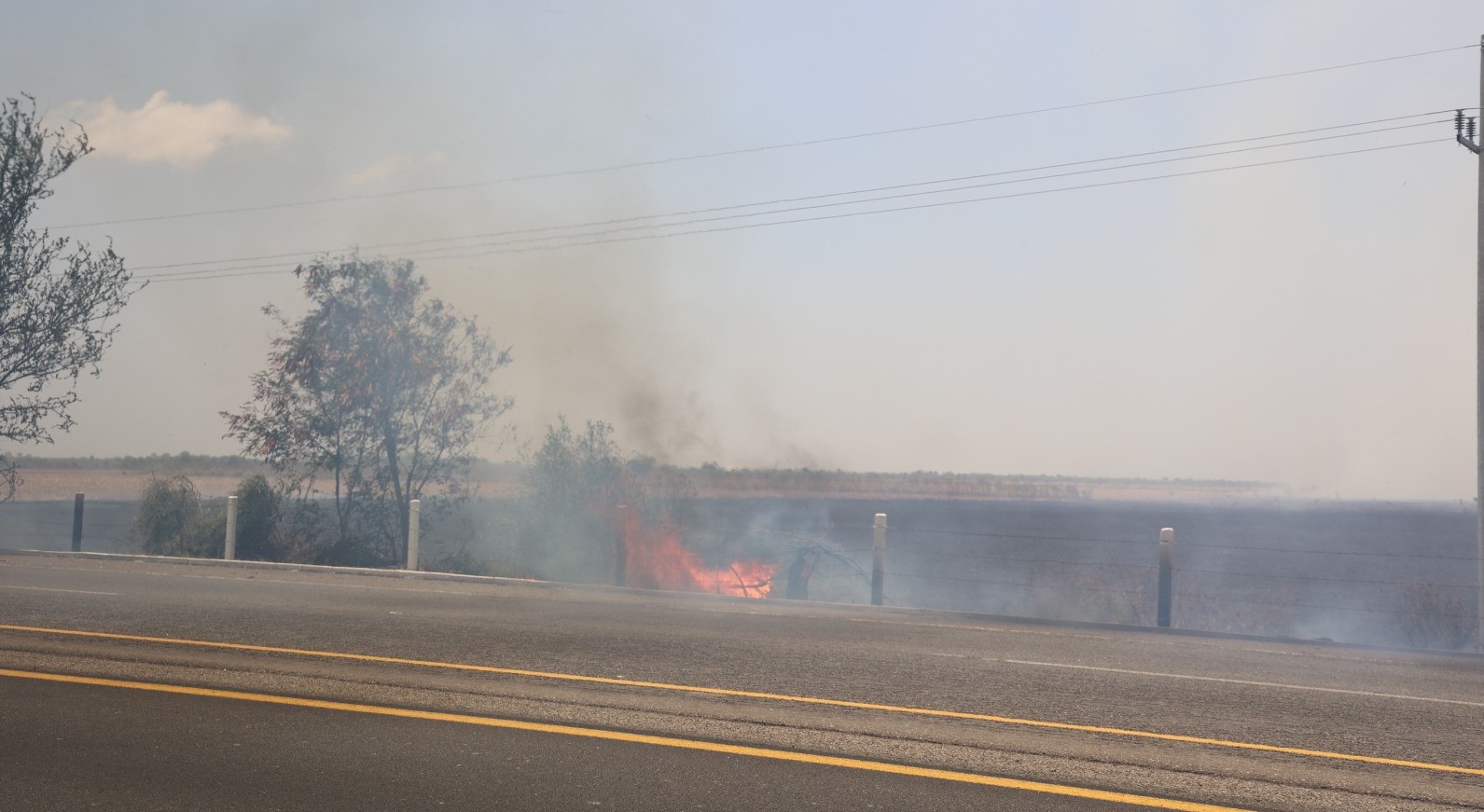 WhatsApp Image 2023-07-24 at 9.55.23 AM