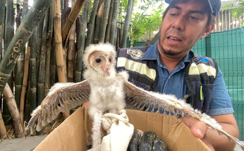 WhatsApp Image 2023-07-26 at 6.30.26 PM