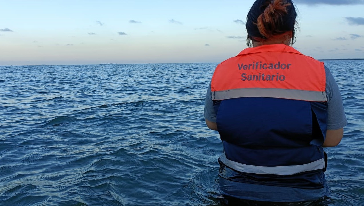 WhatsApp Image 2023-07-29 at 12.47.01 PM