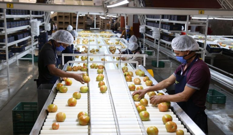 WhatsApp Image 2023-08-09 at 6.42.49 PM