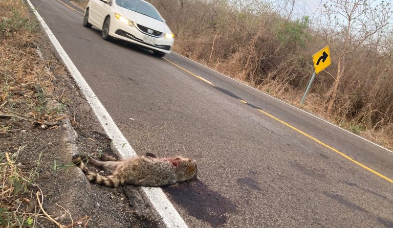 WhatsApp Image 2023-08-10 at 8.35.07 AM