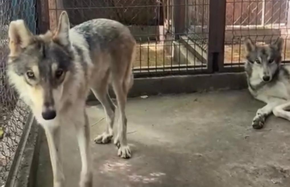 WhatsApp Image 2023-08-16 at 8.32.53 AM