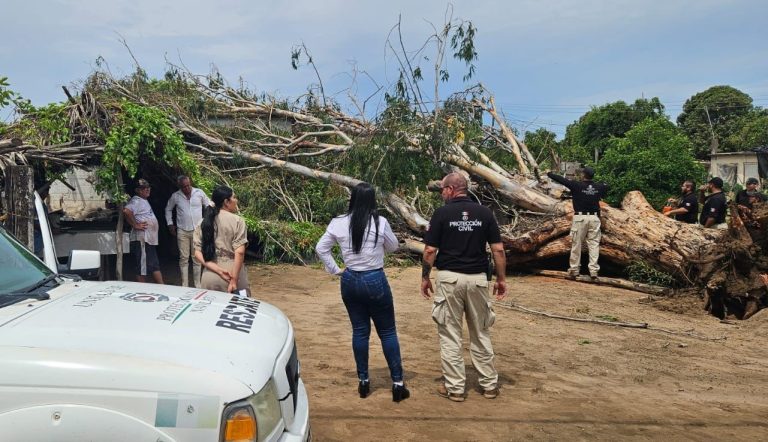 WhatsApp Image 2023-08-18 at 5.37.07 PM