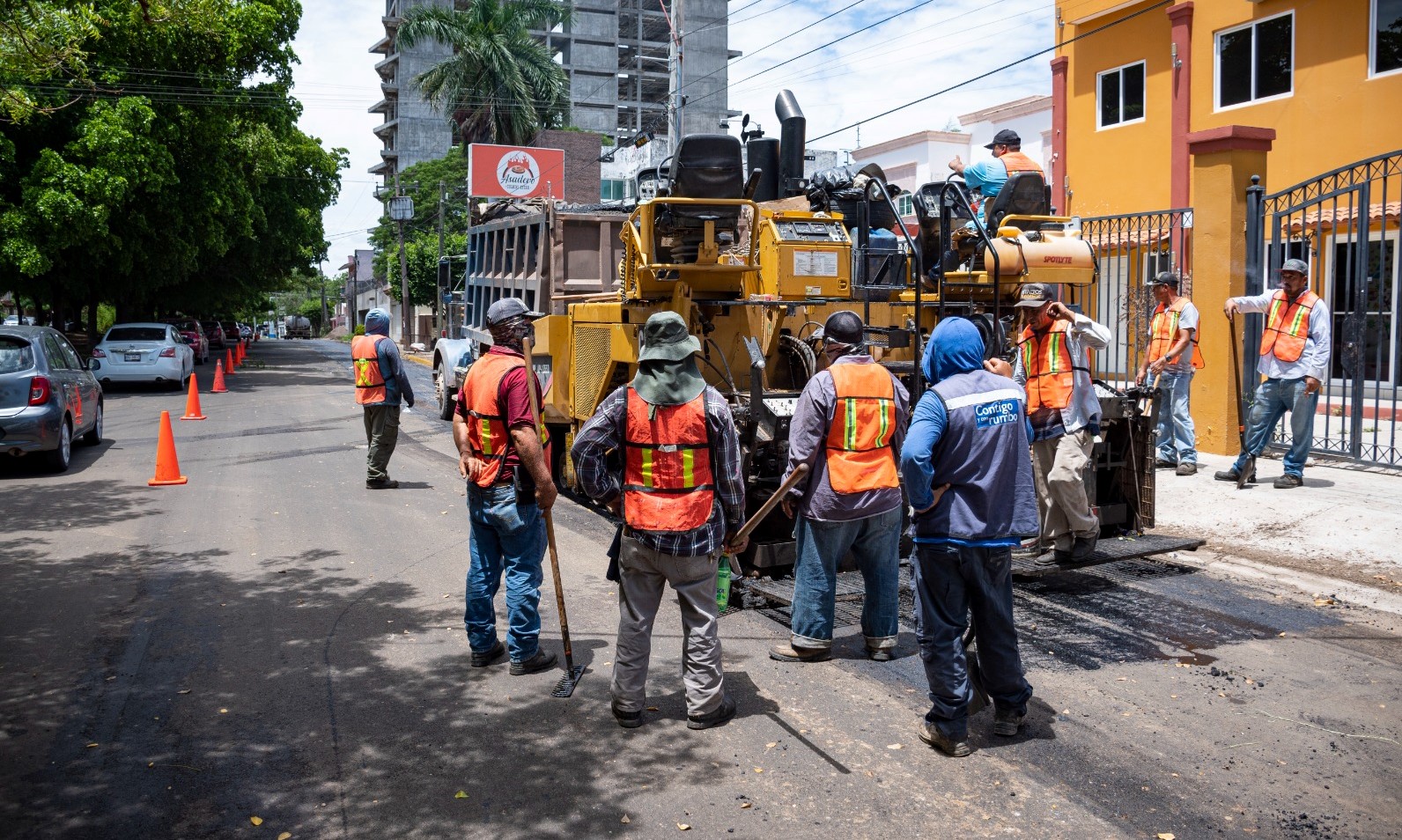 WhatsApp Image 2023-08-19 at 4.33.56 PM