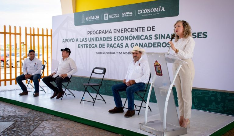 WhatsApp Image 2023-08-21 at 2.41.19 PM