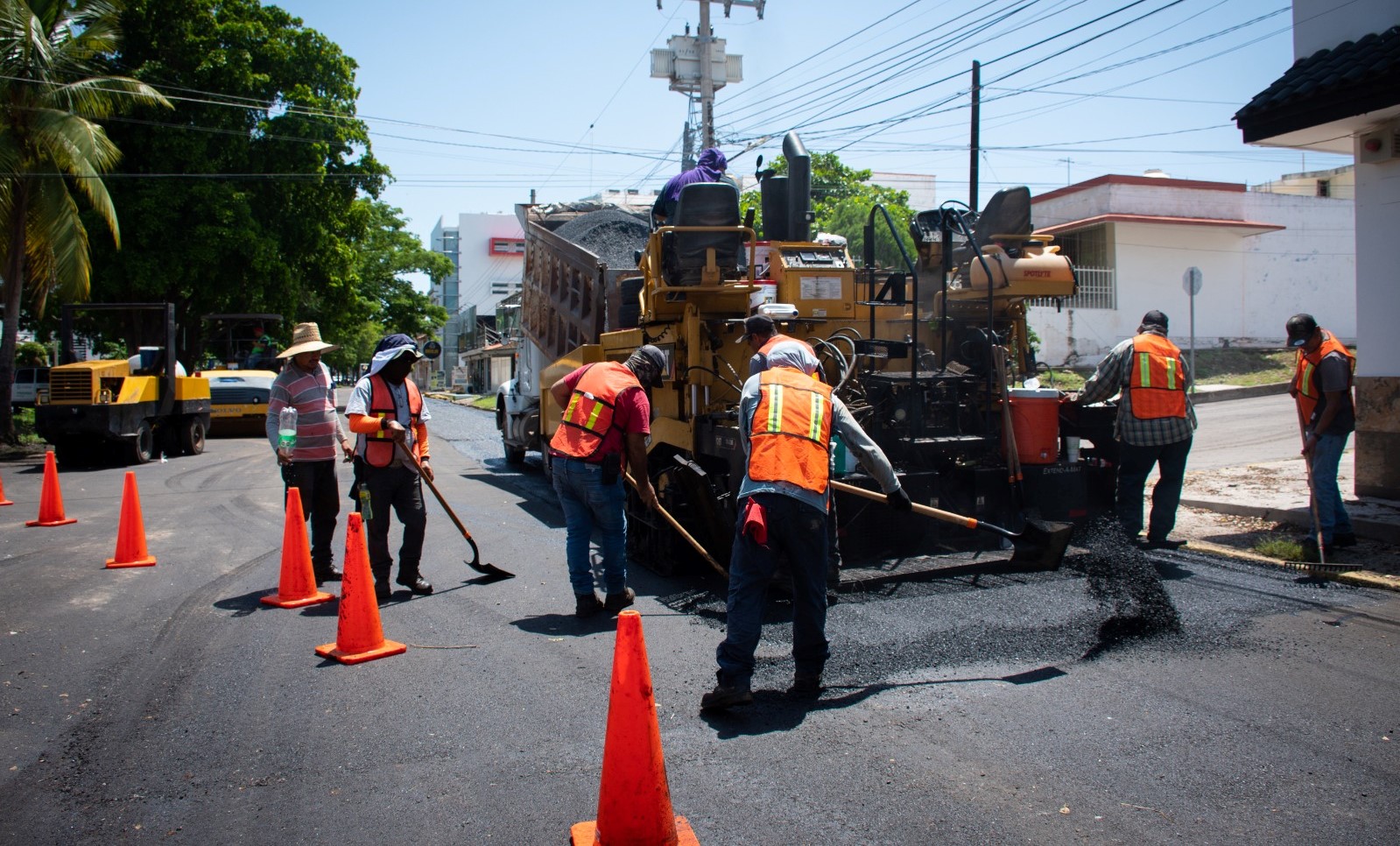 WhatsApp Image 2023-08-22 at 3.37.00 PM