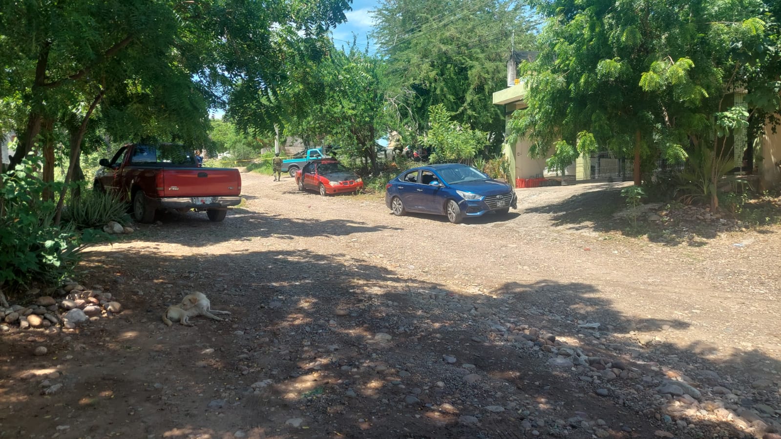 IMG-20230914-WA0212