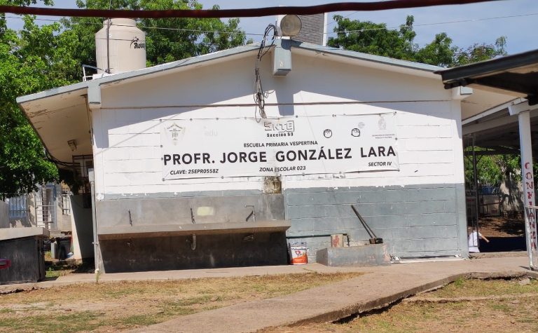 WhatsApp Image 2023-09-01 at 3.56.03 PM