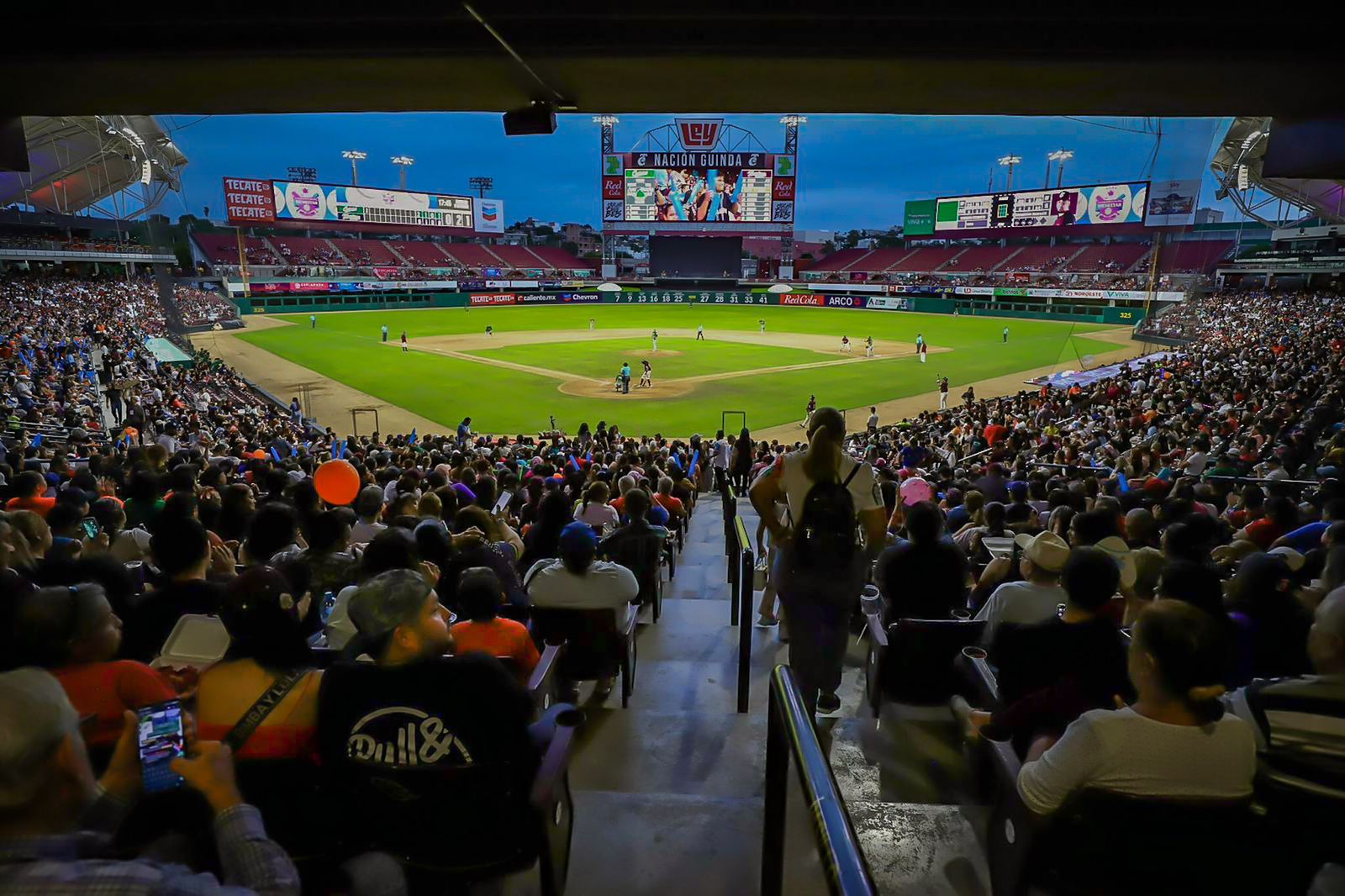 WhatsApp Image 2023-10-08 at 7.46.43 PM