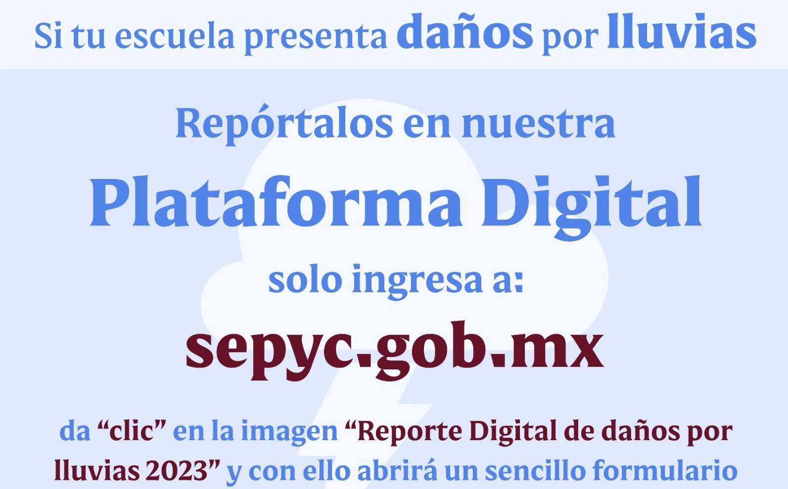 WhatsApp Image 2023-10-10 at 9.15.52 PM