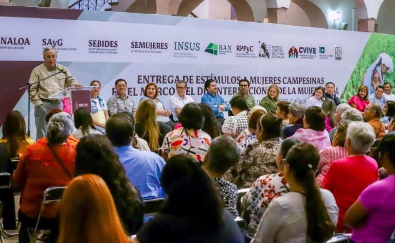 WhatsApp Image 2023-10-13 at 3.34.07 PM