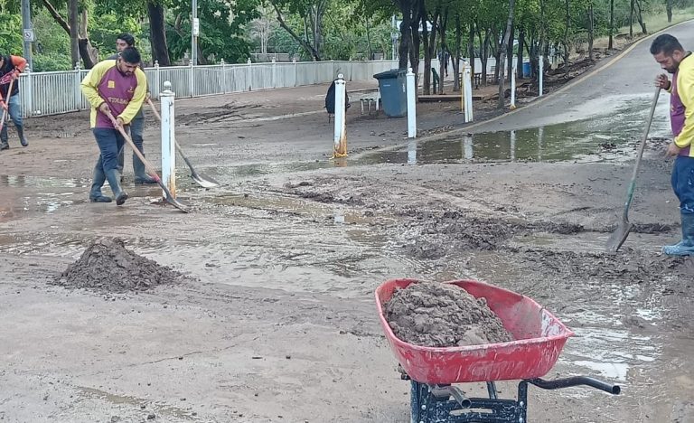 WhatsApp Image 2023-10-27 at 2.13.14 PM