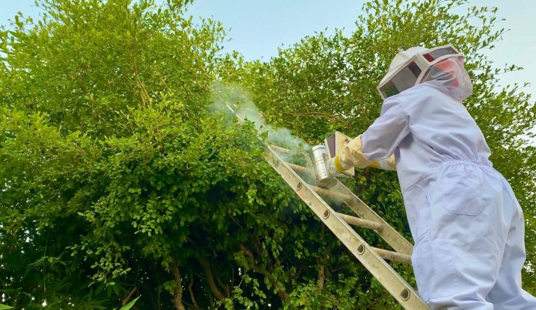 WhatsApp Image 2023-12-29 at 12.32.24 PM