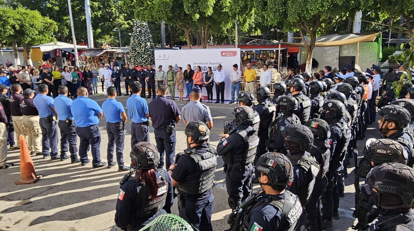 WhatsApp Image 2024-01-03 at 3.45.33 PM